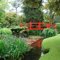 Kildare Japanse tuin